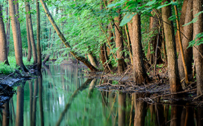 Vignette notre mission