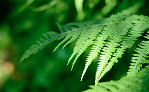 Vignette notre Vision