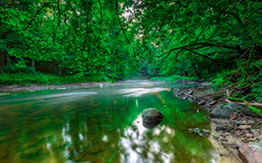 Vignette notre stratégie